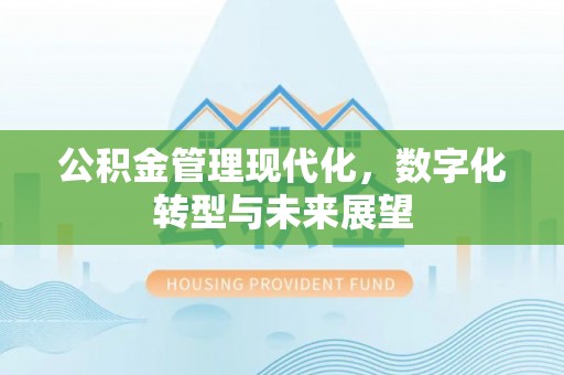 古塔公积金管理现代化，数字化转型与未来展望