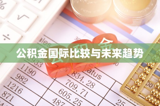古塔公积金国际比较与未来趋势
