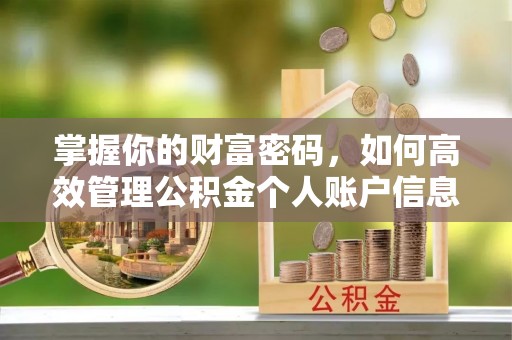 古塔掌握你的财富密码，如何高效管理公积金个人账户信息