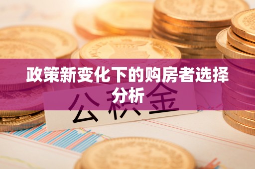 古塔政策新变化下的购房者选择分析