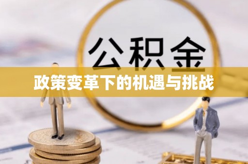 古塔政策变革下的机遇与挑战