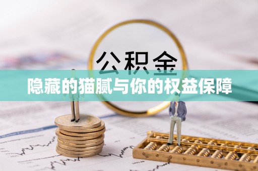 古塔隐藏的猫腻与你的权益保障
