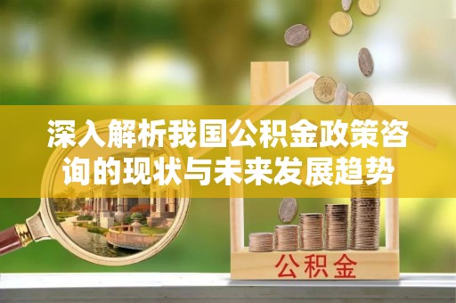 古塔深入解析我国公积金政策咨询的现状与未来发展趋势