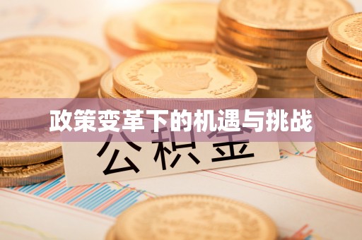 古塔政策变革下的机遇与挑战
