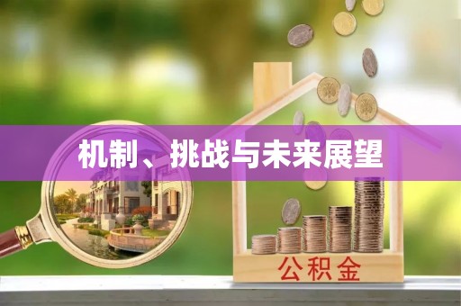 古塔机制、挑战与未来展望